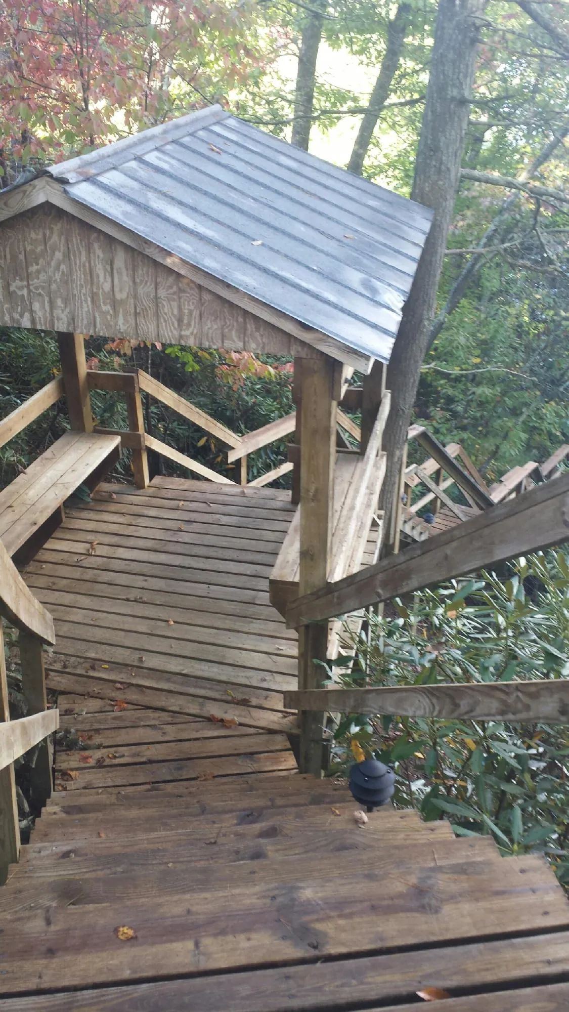 Metal roofed shelter over wooden steps on a wooded walkway — Skylight Repair & Installation work by our crew in Bulls Gap
